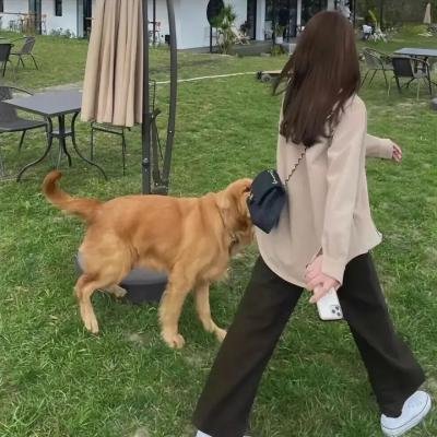 乌龙服务员