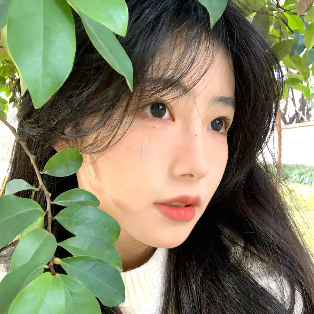 一屋两妻